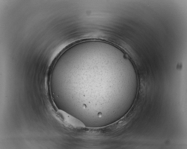 X0000112410788200908281813