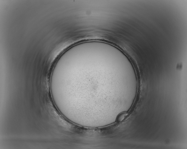 X0000112410789200908281813