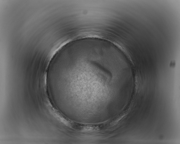 X0000112410790200908281813