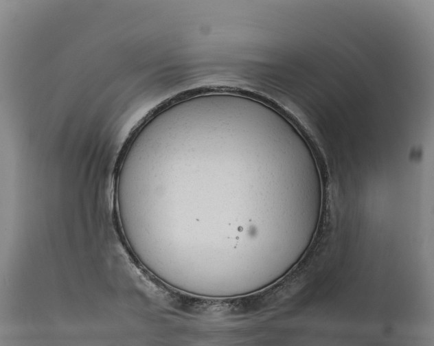 X0000112410791200908281813