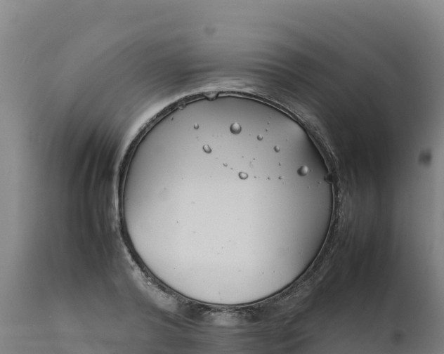 X0000112410792200908281813