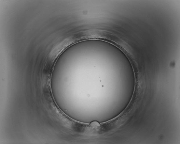 X0000112410793200908281813