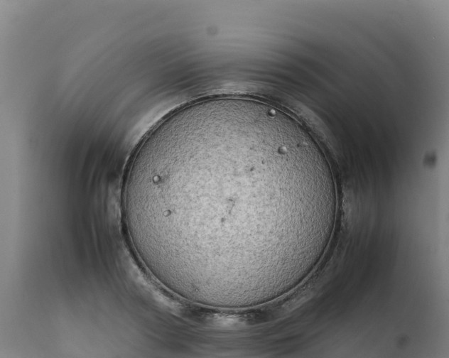 X0000112410794200908281812