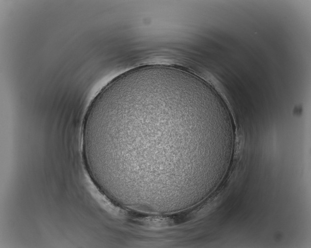 X0000112410795200908281812