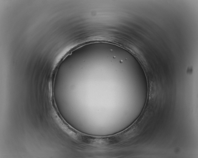 X0000112410796200908281812