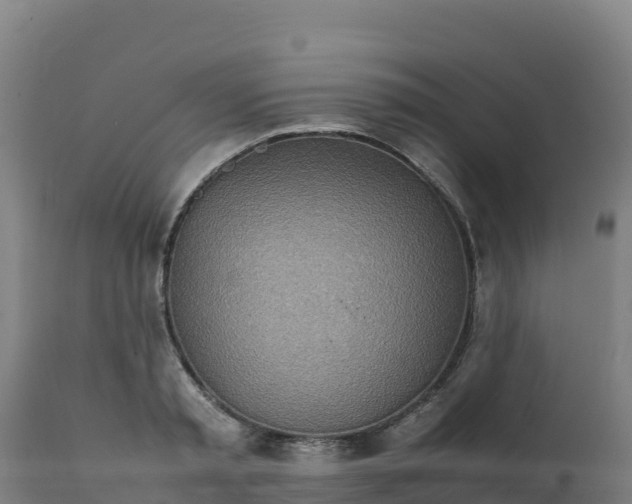 X0000112410797200908281812