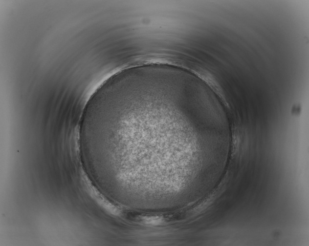 X0000112410798200908281812