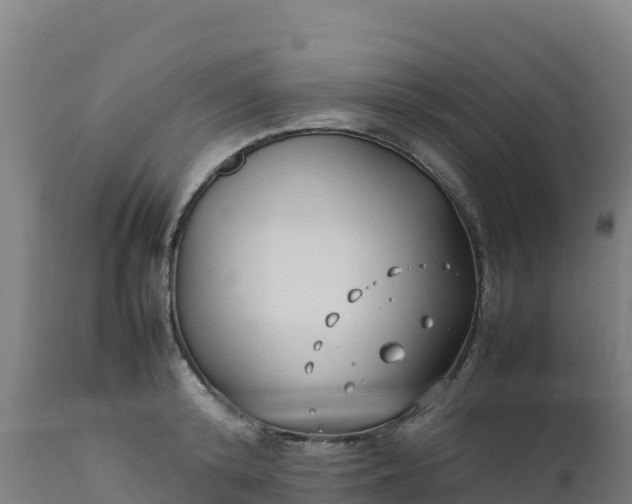 X0000112410800200908281812