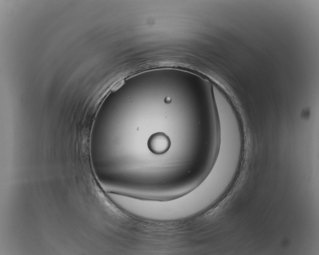 X0000112410801200908281812