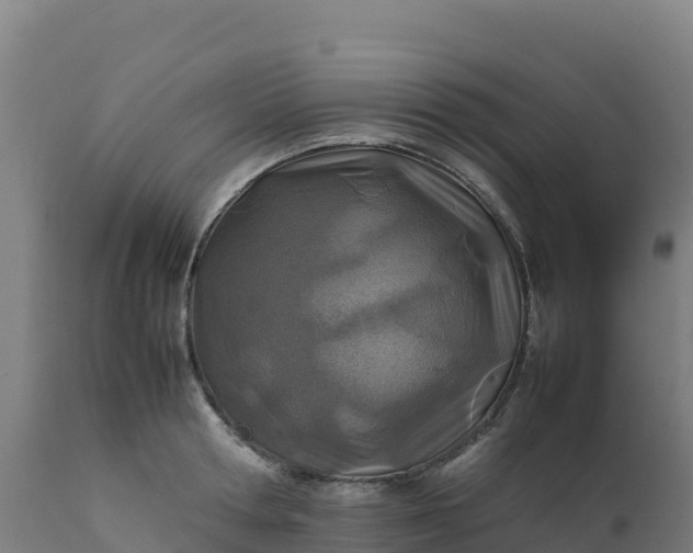 X0000112410802200908281812