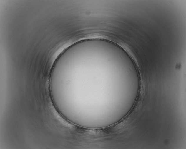 X0000112410805200908281812