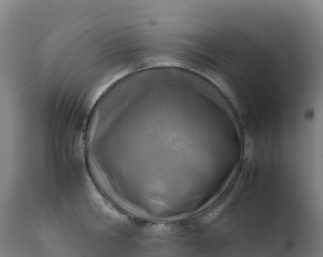 X0000112410806200908281812