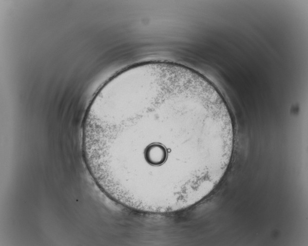 X0000112410807200908281812