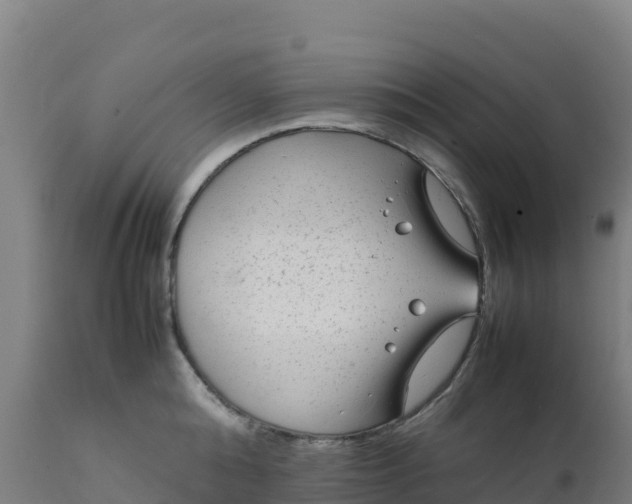 X0000112410808200908281812