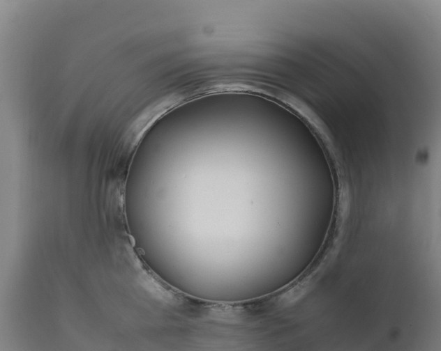 X0000112410809200908281812