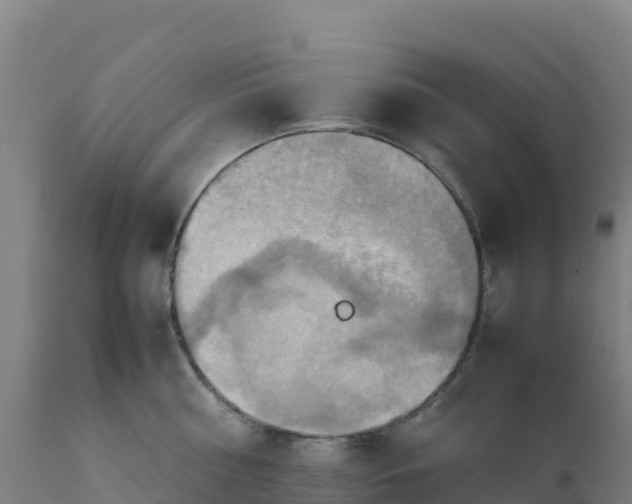 X0000112410810200908281812