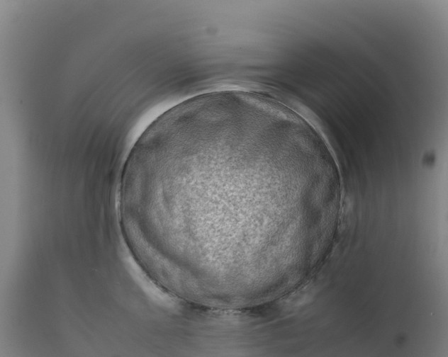 X0000112410811200908281812