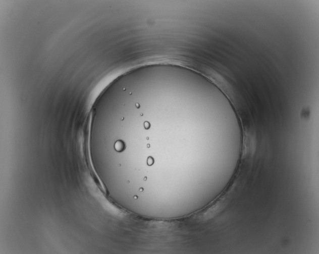 X0000112410812200908281812