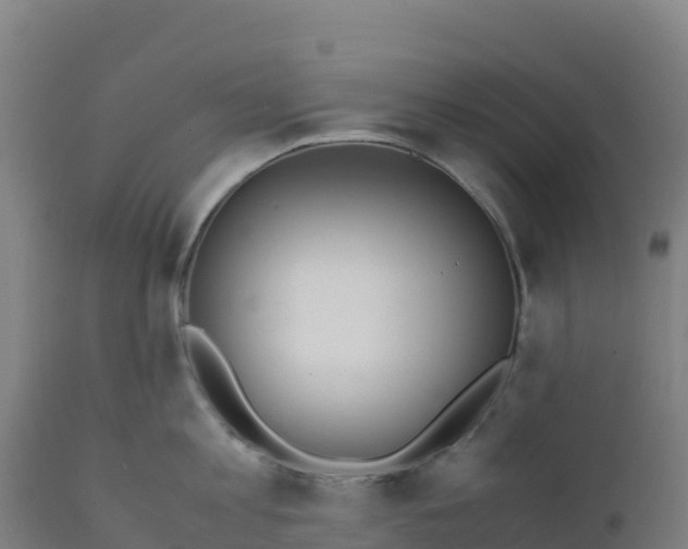 X0000112410813200908281812