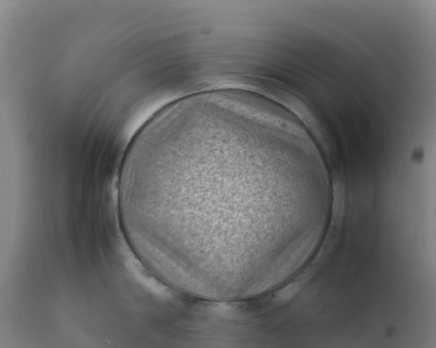 X0000112410814200908281812