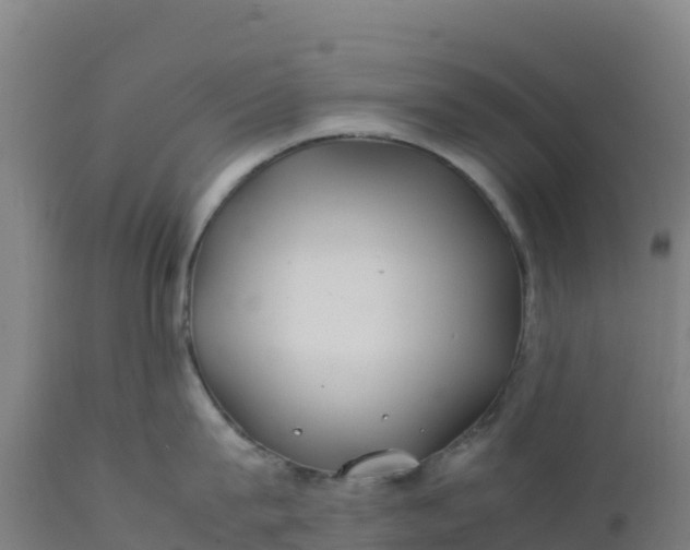 X0000112410815200908281812