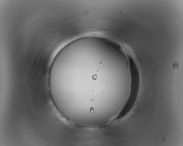 X0000112410816200908281812