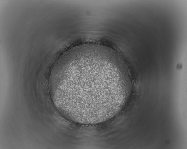 X0000112410817200908281812