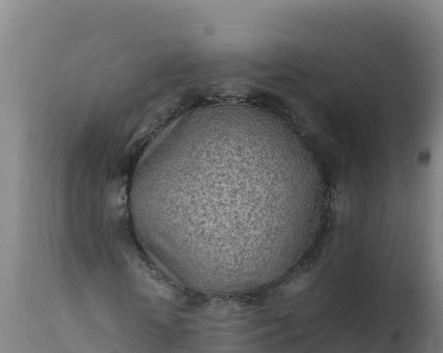 X0000112410818200908281812