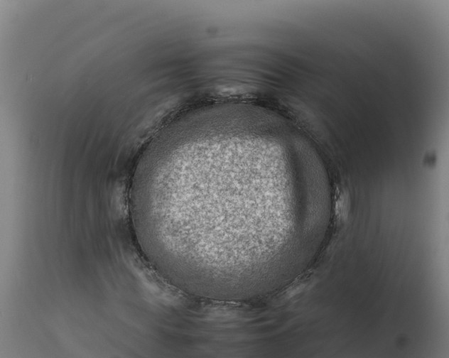 X0000112410819200908281812