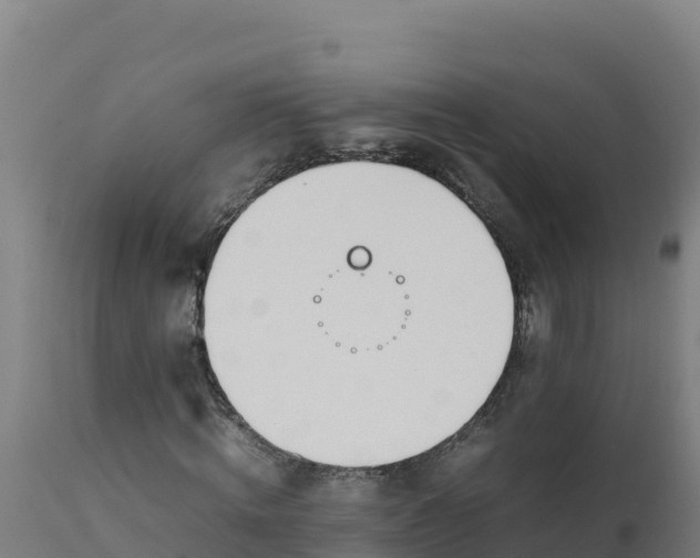 X0000112410820200908281812