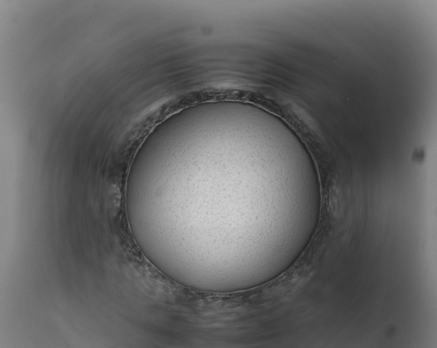 X0000112410821200908281812