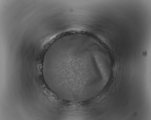 X0000112410822200908281812