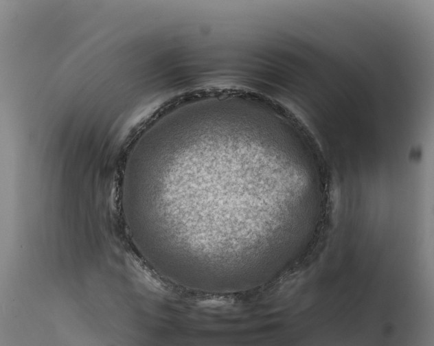 X0000112410823200908281812