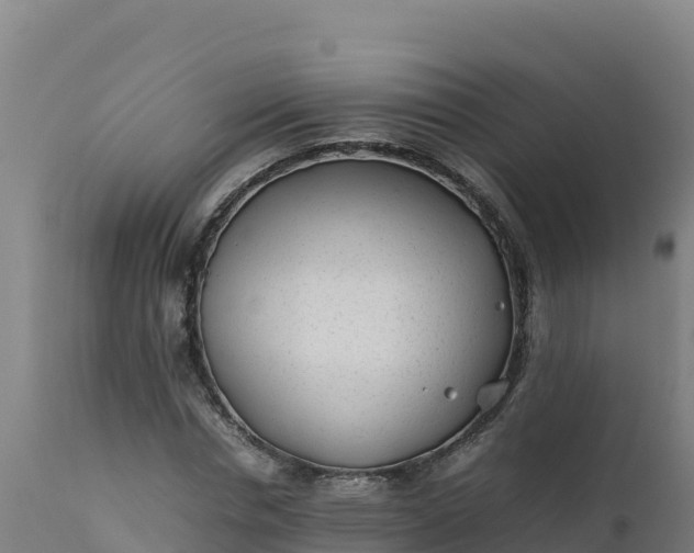 X0000112410826200908281812