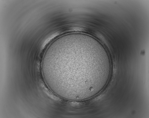 X0000112410827200908281812