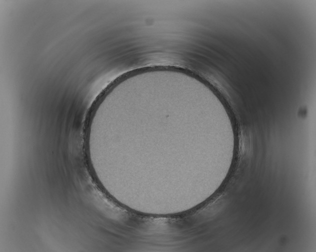 X0000112410828200908281812