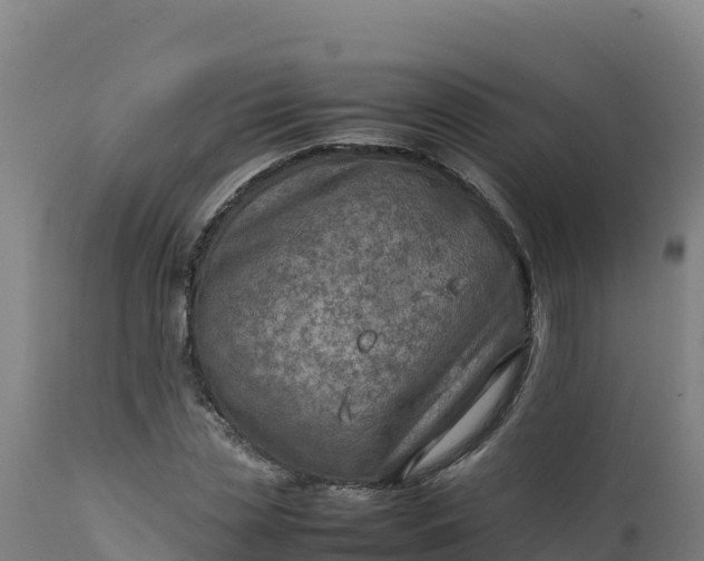 X0000112410829200908281812