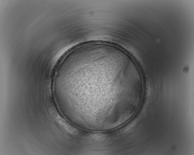 X0000112410830200908281812