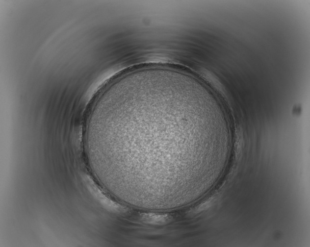 X0000112410831200908281812