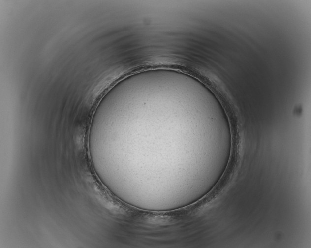 X0000112410833200908281812