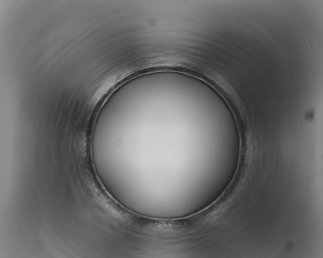 X0000112410834200908281812