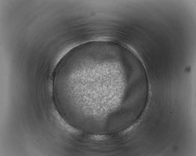 X0000112410835200908281812