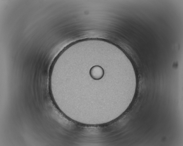 X0000112410836200908281812