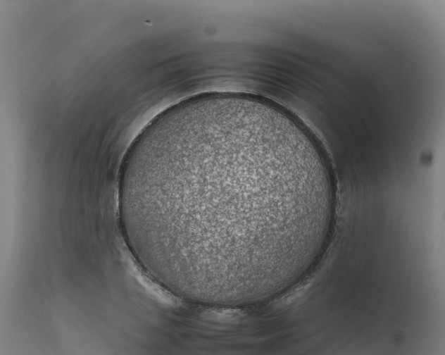 X0000112410837200908281812