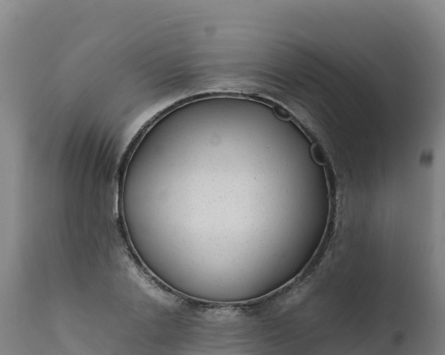 X0000112410838200908281812