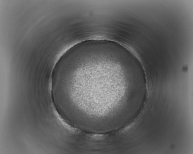 X0000112410839200908281812