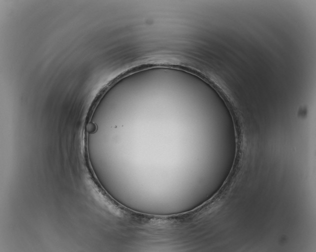 X0000112410840200908281812