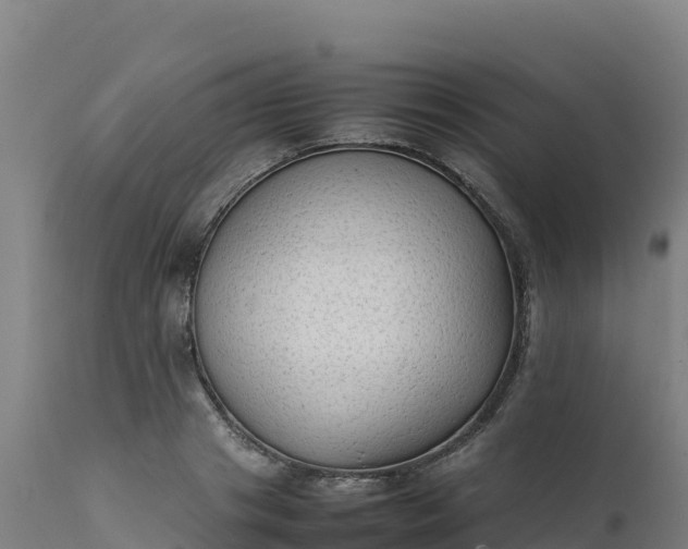 X0000112410841200908281812