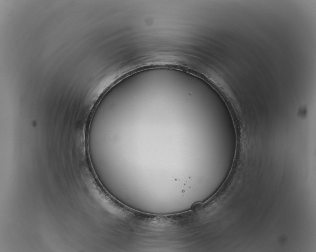 X0000112410842200908281812