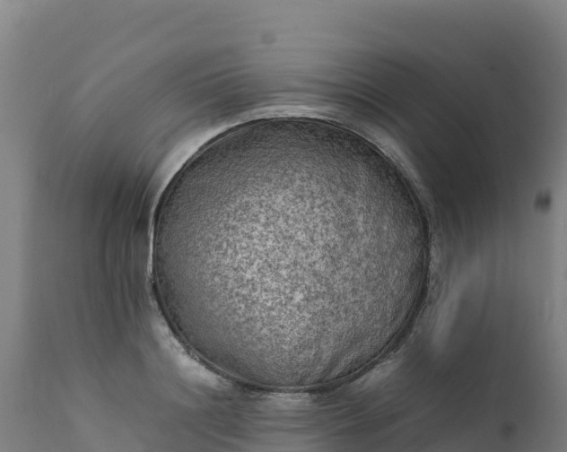 X0000112410844200908281812